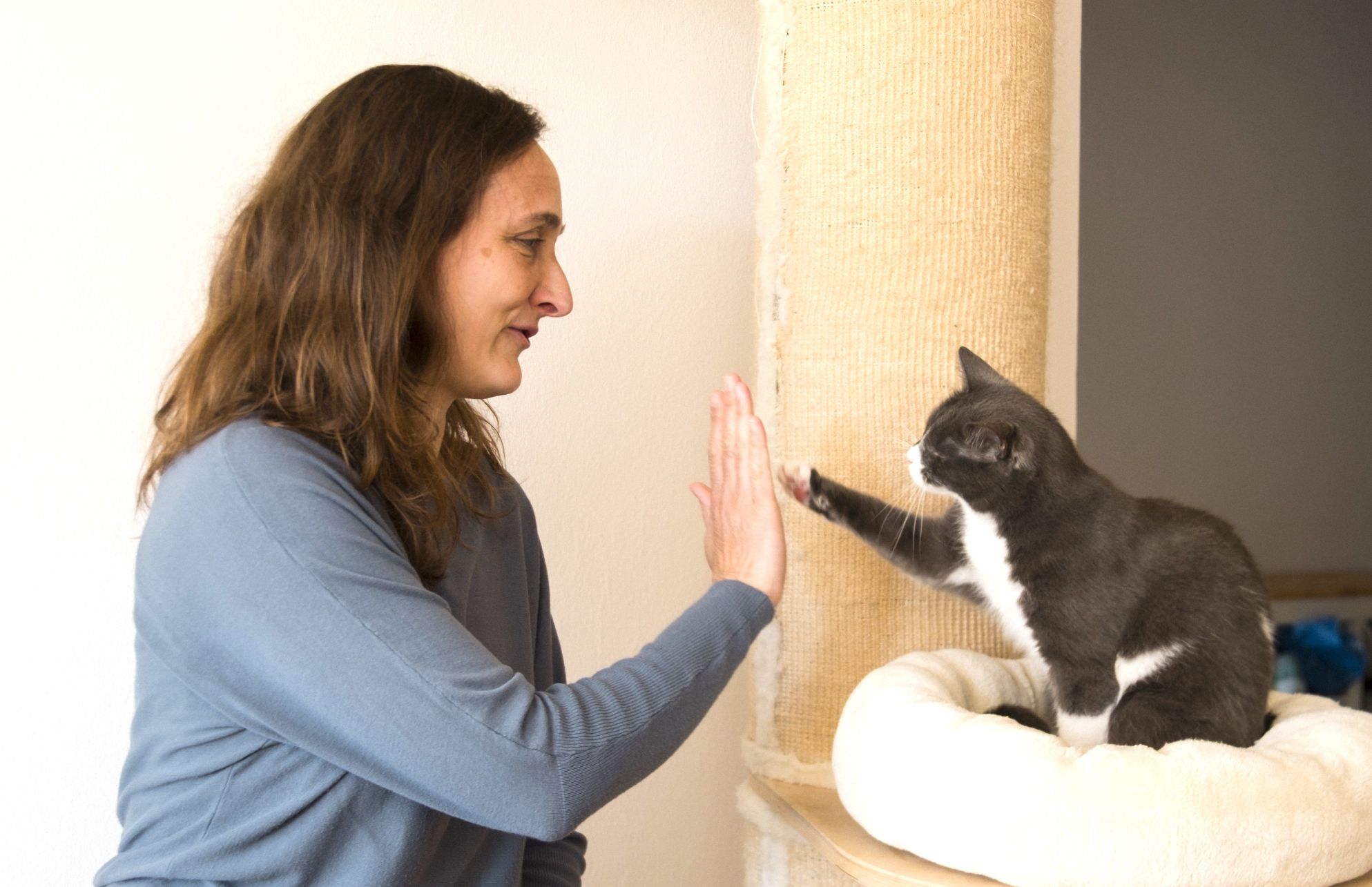 Katzenverhaltensberaterin mit Katze